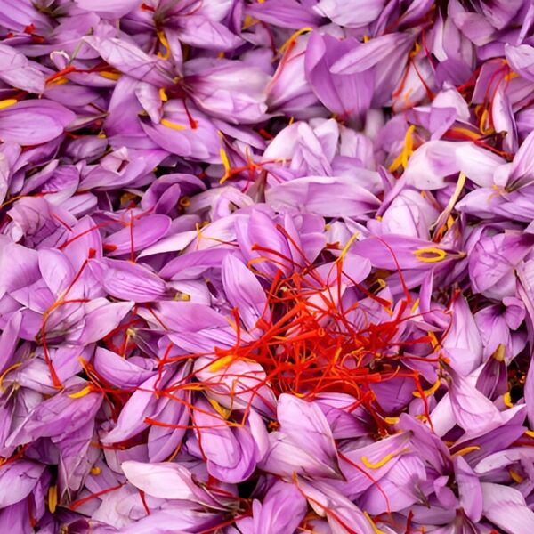 Pure Organic Saffron all Red Certified Saffron Thread Natural Strong Aroma, Smell, Color - Image 2