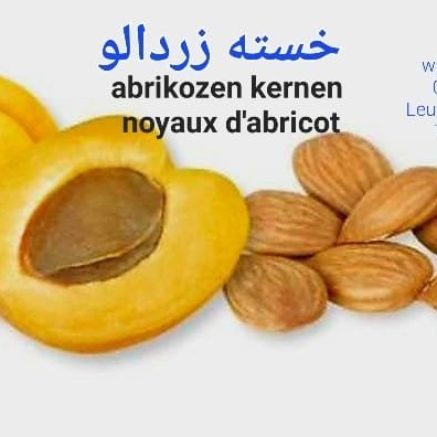 Apricot-Cores-Noyaux-dAbricot.jpg
