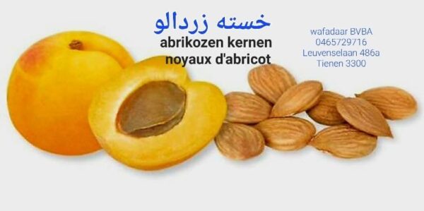 Apricot Cores Noyaux d'abricot