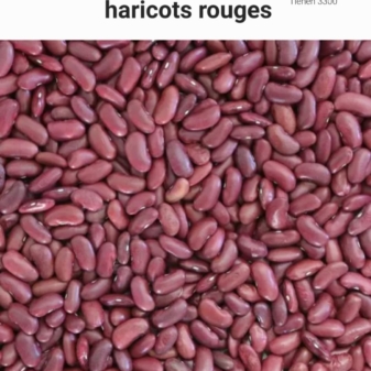 Red-Beans-Haricots-Rouges.jpg