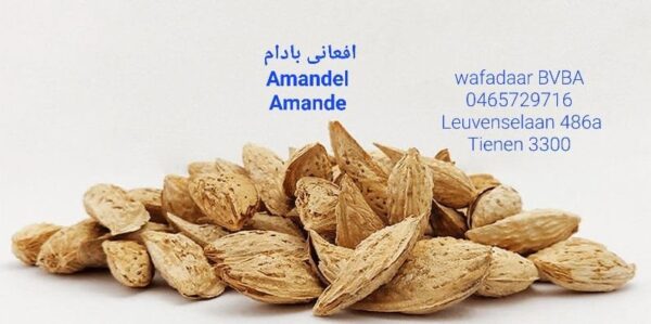 Afghan Amandel (Afghan Almonds)