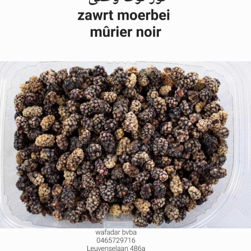 Zawrt Moerbei Murier Noir (تور توت وطنی)