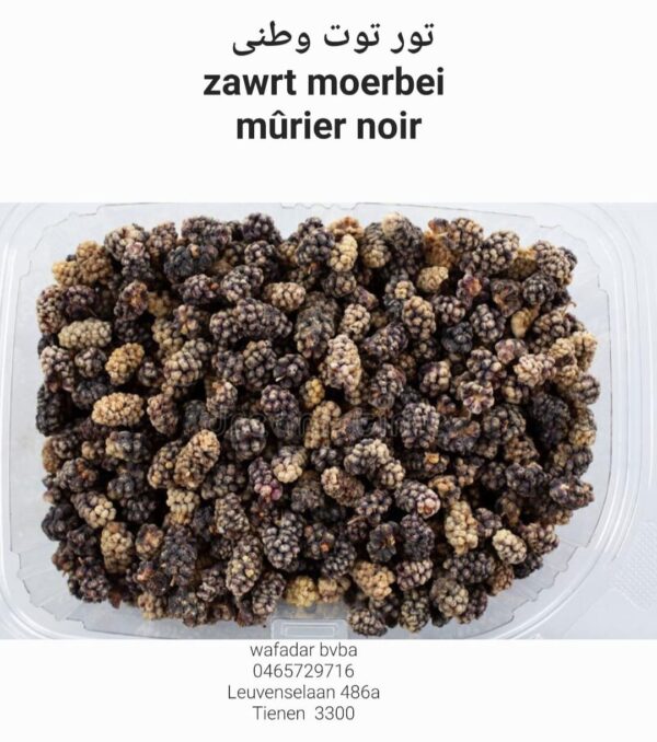 Zawrt Moerbei Murier Noir (تور توت وطنی)