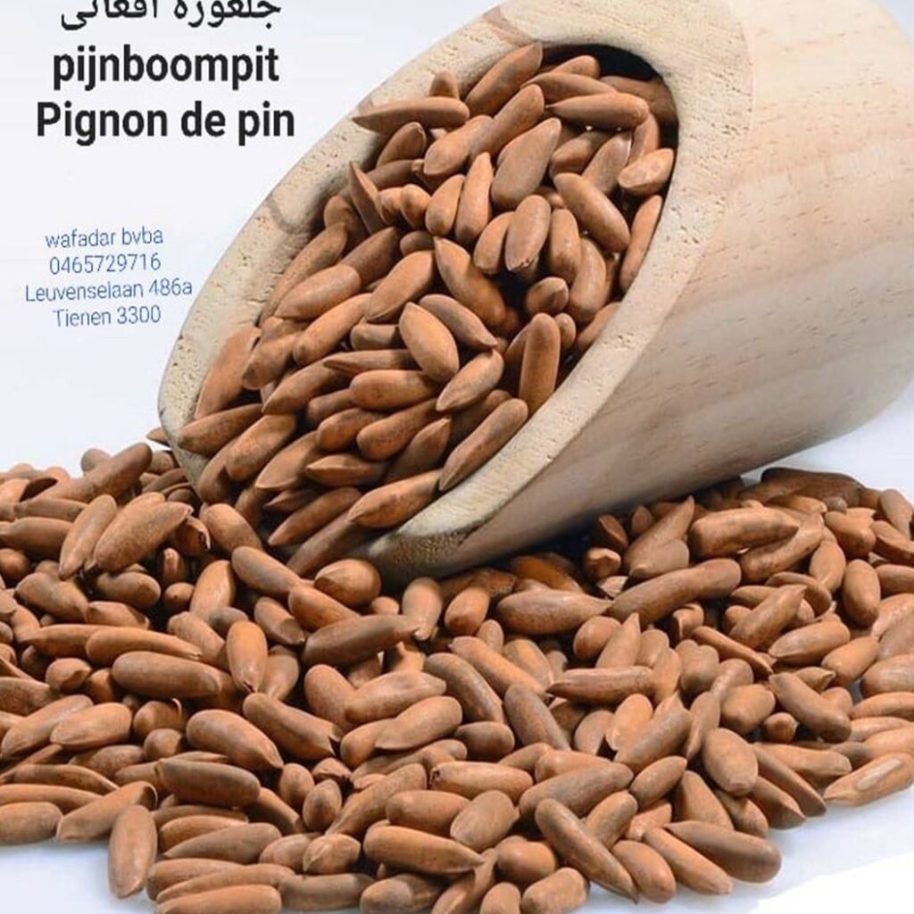 Pine Nuts (Pijnboompit)