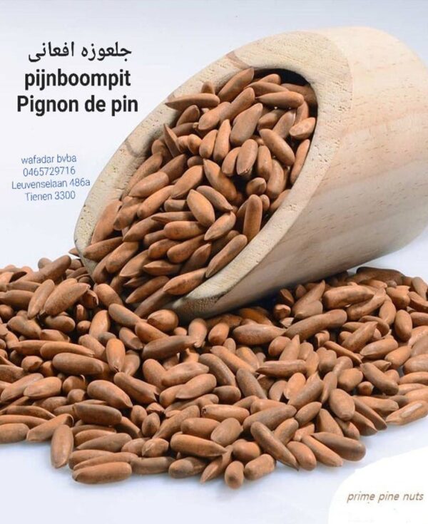 Pine Nuts (Pijnboompit)