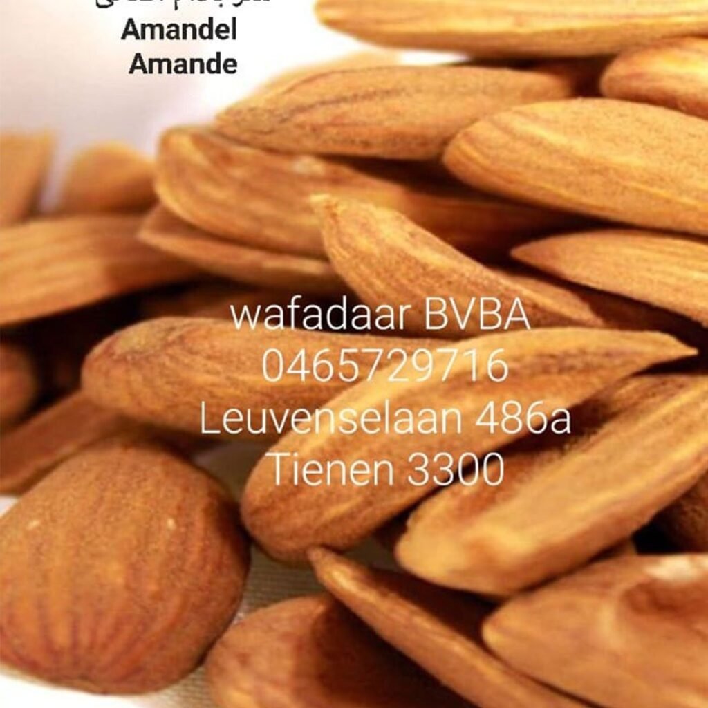 Amandel (Almonds)