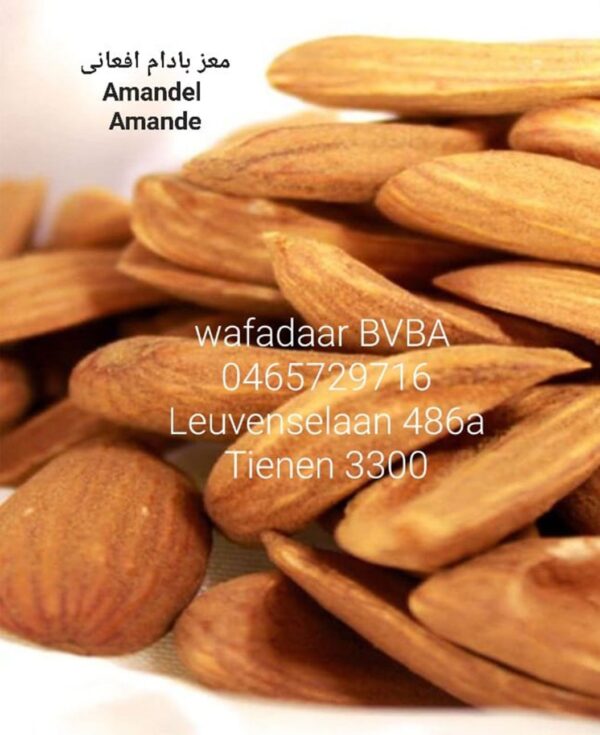 Amandel (Almonds)
